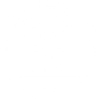 100% Vegan